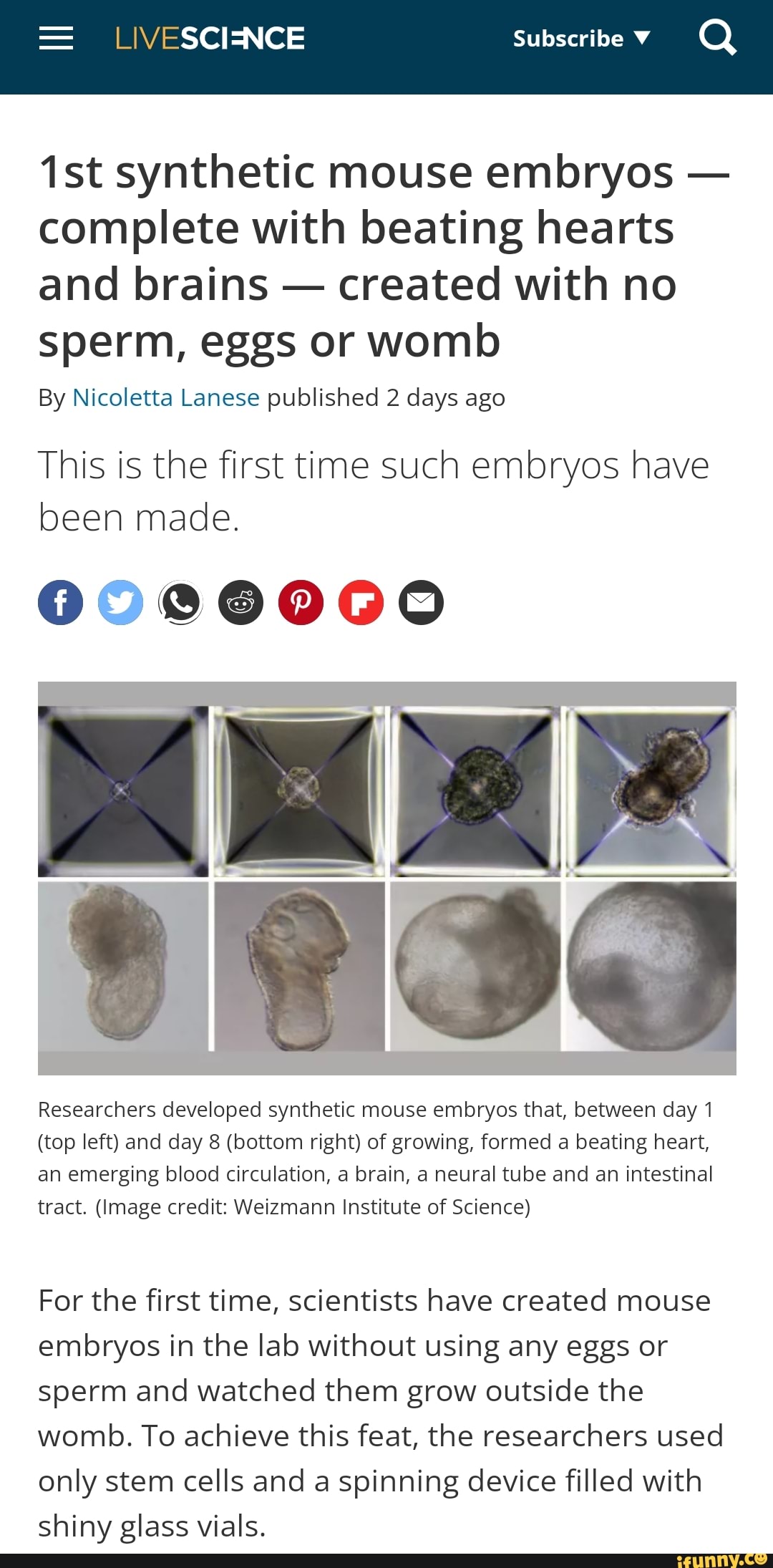 LIVESCIJENCE Subscribe synthetic mouse embryos - complete with beating ...