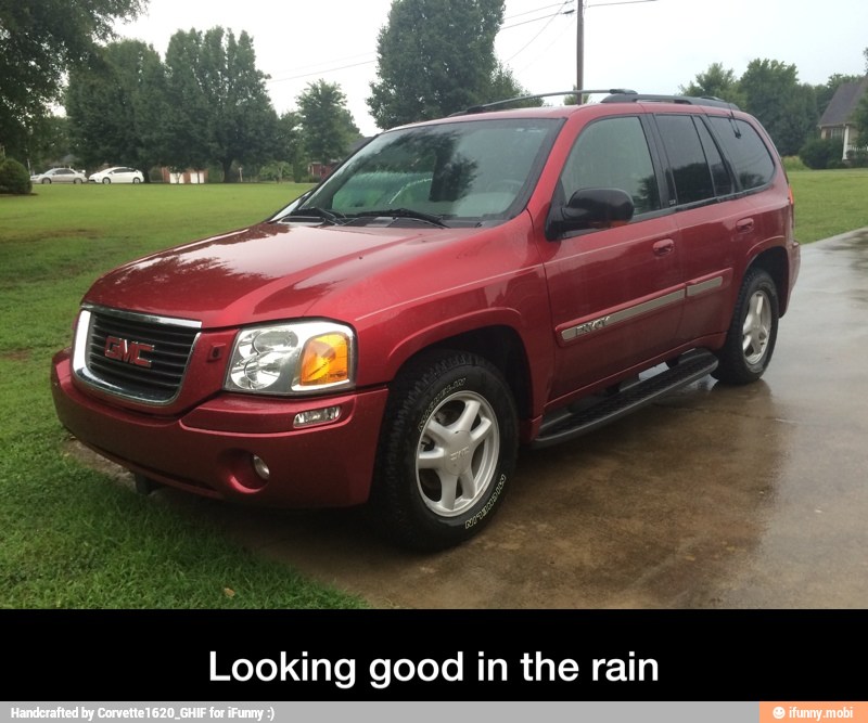 Looking good in the rain - Looking good in the rain