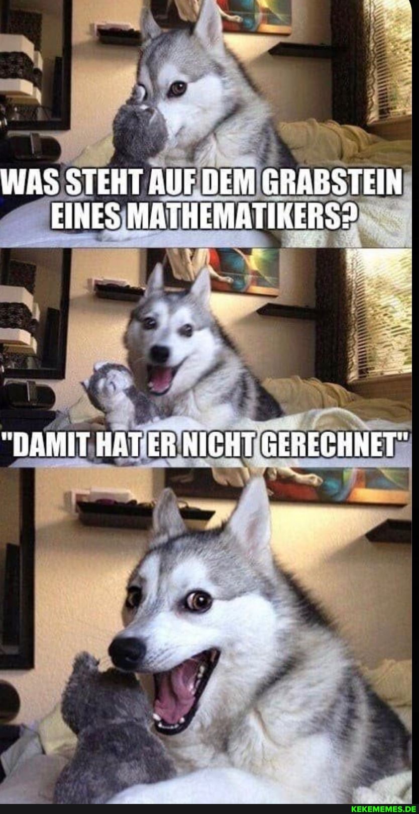 WAS STEHT AUFDEM GRABSTEIN EINES MATHEMATIKERS?
"DAMIT HAT ER NICHT GERECHNET"