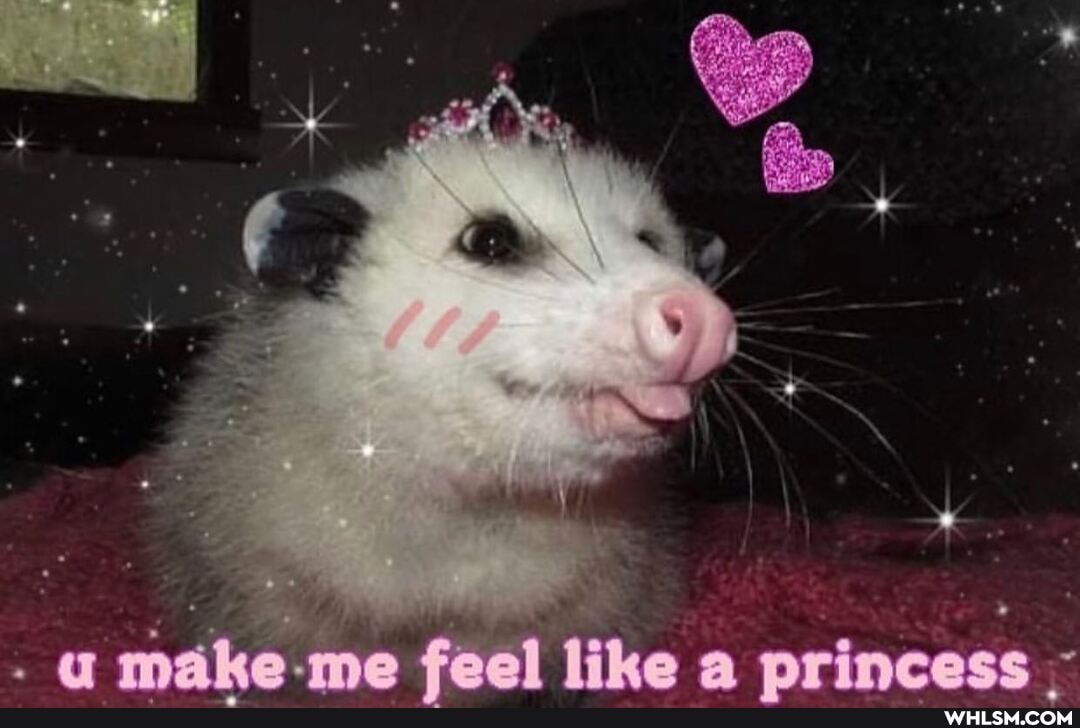 make me primeass