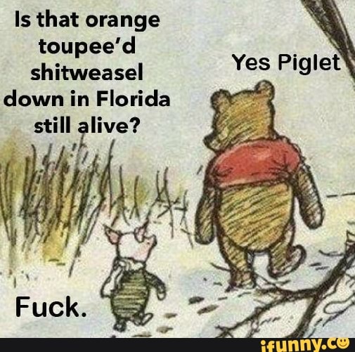 Is that orange toupee'd shitweasel Piglet down in Florida still alive? - )