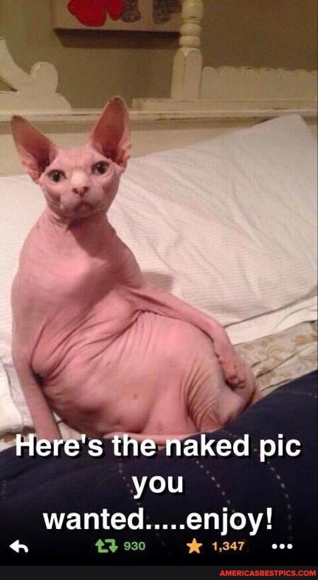 Here's the naked pic you
wanted.....enjoy!
4 930 1,347 ooe