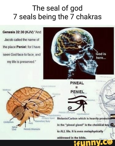 The seal of god 7 seals being the 7 chakras Genesis (KV) 