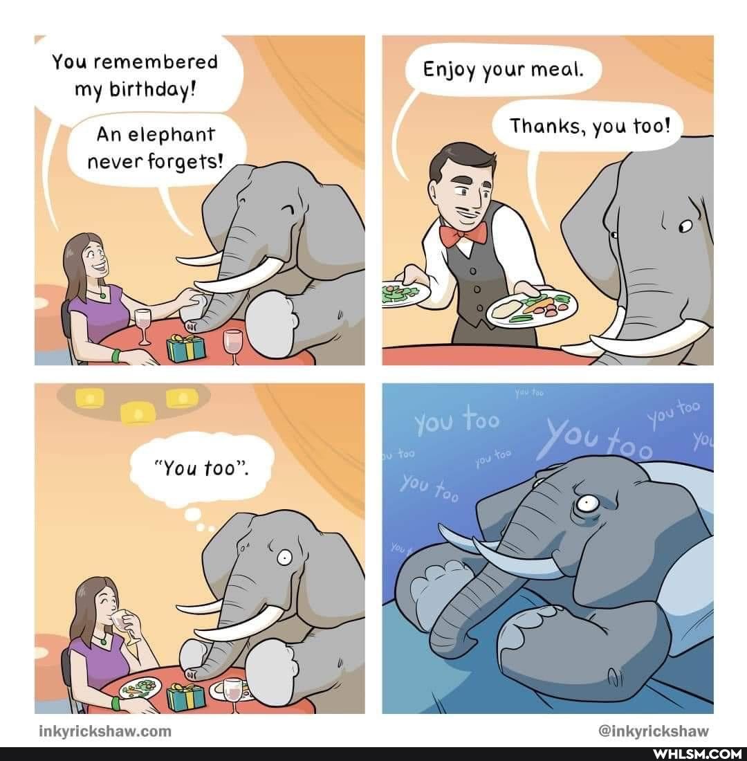 You remembered Enjoy your meal.
my birthday!
An elephant Thanks, you too! never forgets! -
"You too".
Inkwrirnkehaw ram