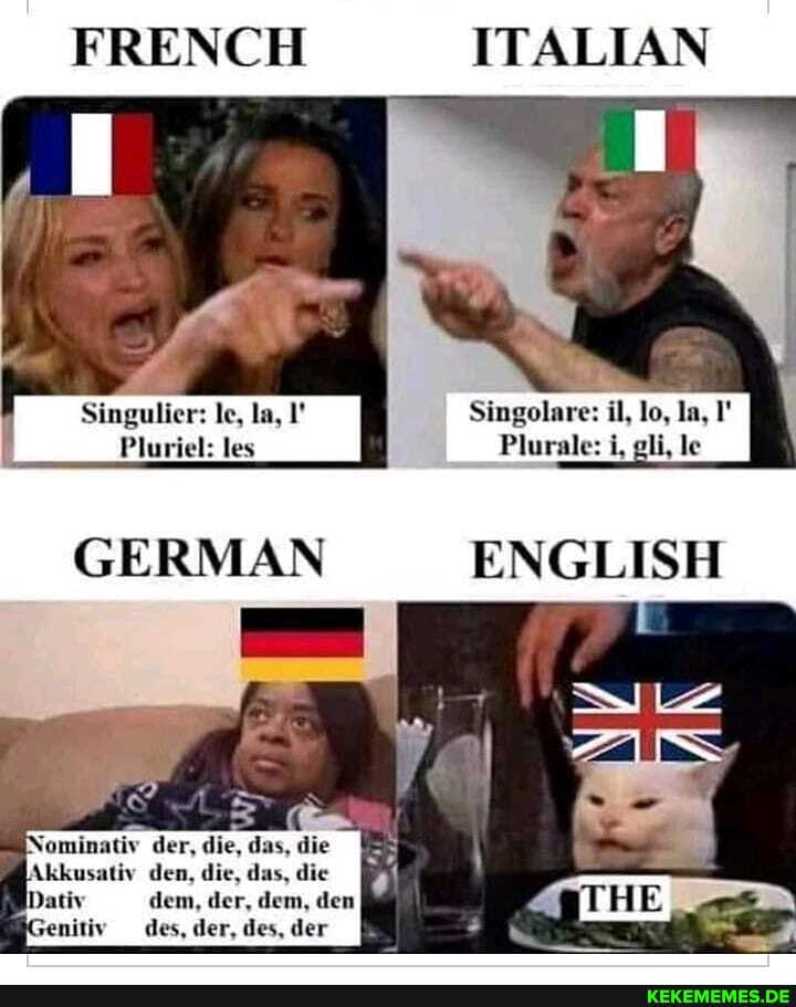 FRENCH ITALIAN
Singulier: le, la, Singolare: il, lo, la, I'
Pluriel: les Plurale: i, gli, le
GERMAN
Nominativ der, die, das, die
Akkusativ den, die, das, die
Dativ dem, der, dem, den
senitiv des, der, des, der