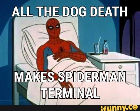 ALL THE DOG DEATH MAKES SPIDERMAN TERMINAL - iFunny Brazil