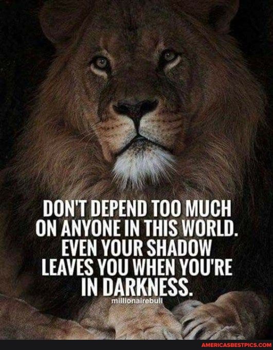 DON'T DEPEND TOO MUCH
ON ANYONE IN THIS WORLD.
EVEN YOUR SHADOW
LEAVES YOU WHEN YOU'RE IN DARKNESS.