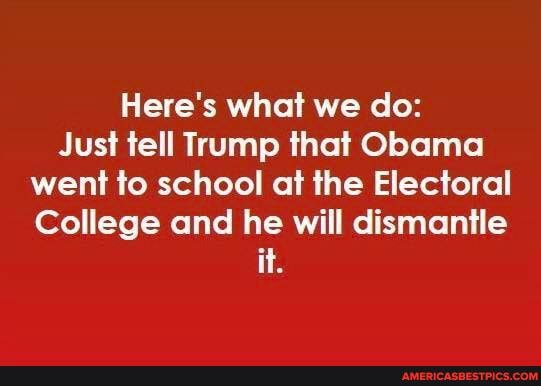 Here's what we do:
Just tell Trump that Obama went to school at the Electoral
College and he will dismantle
it.