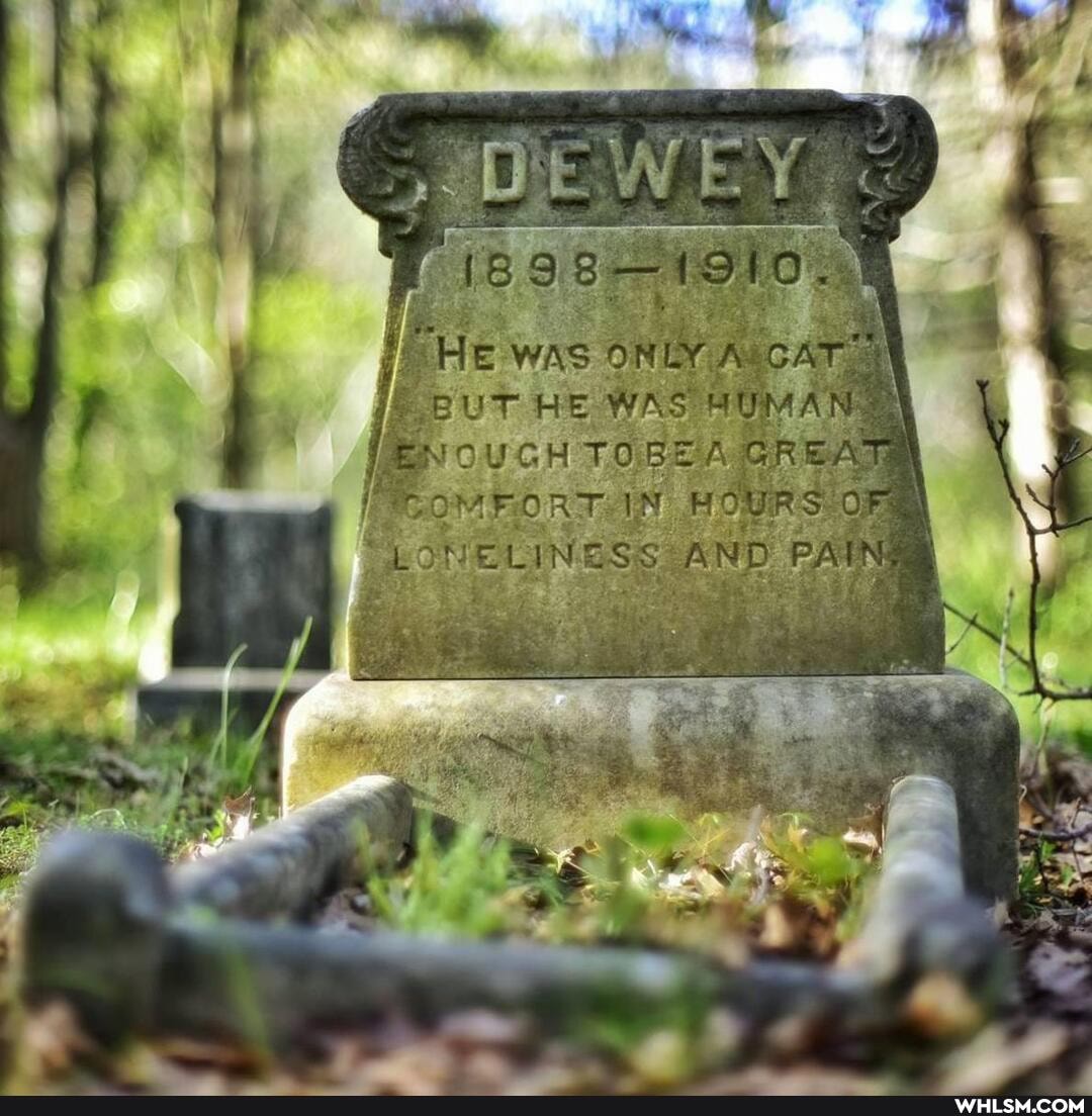 WAS ONLY A BUT HE WAS HUMAN
OUGH GREAT
"OMFORT IN ZLINESS AND PA
