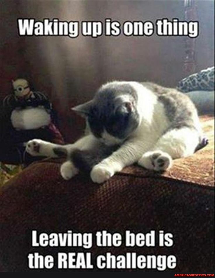 Waking one upis thing
Leaving the bed is the REAL challenge