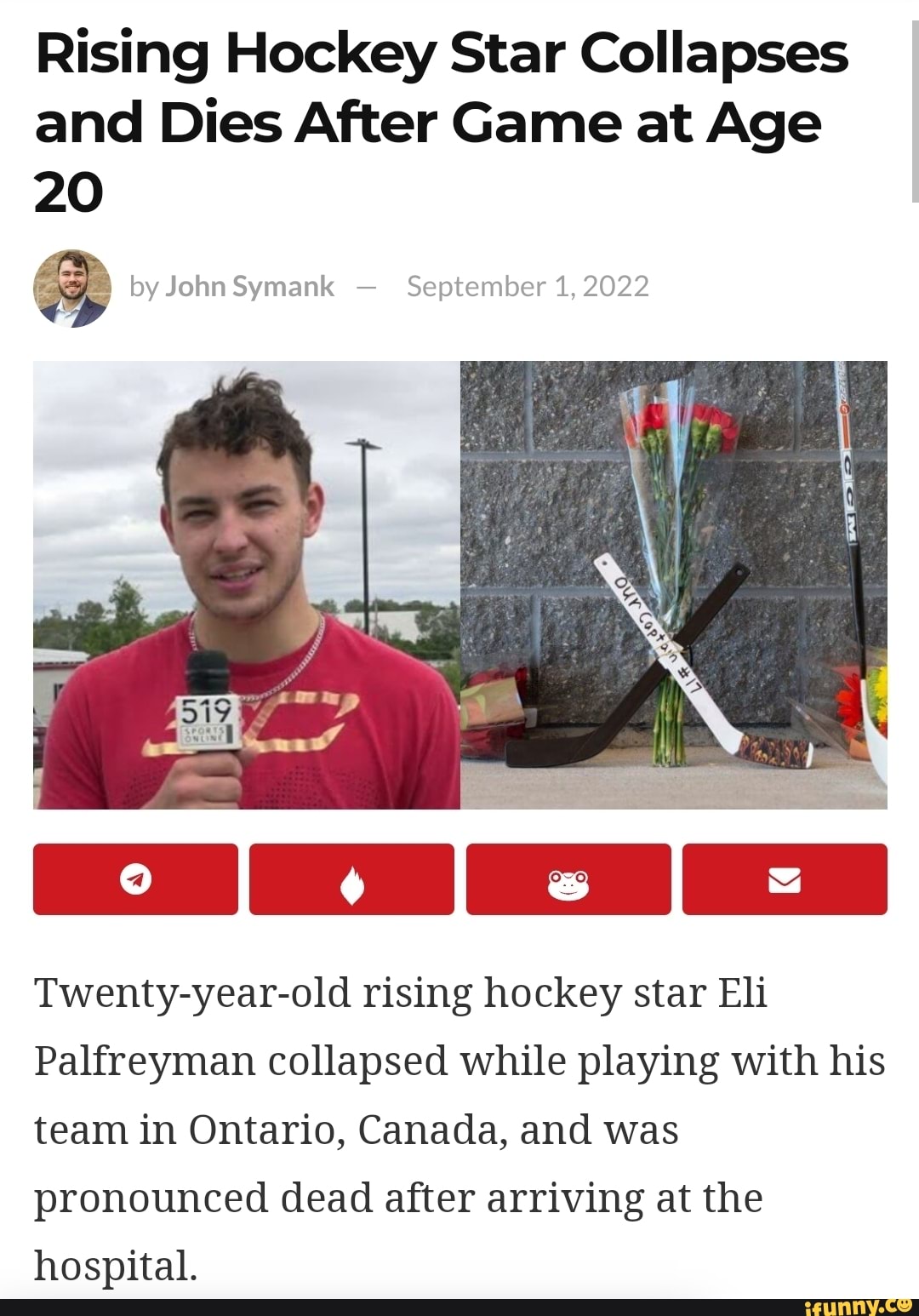 Rising Hockey Star Collapses and Dies After Game at Age 20 by John ...