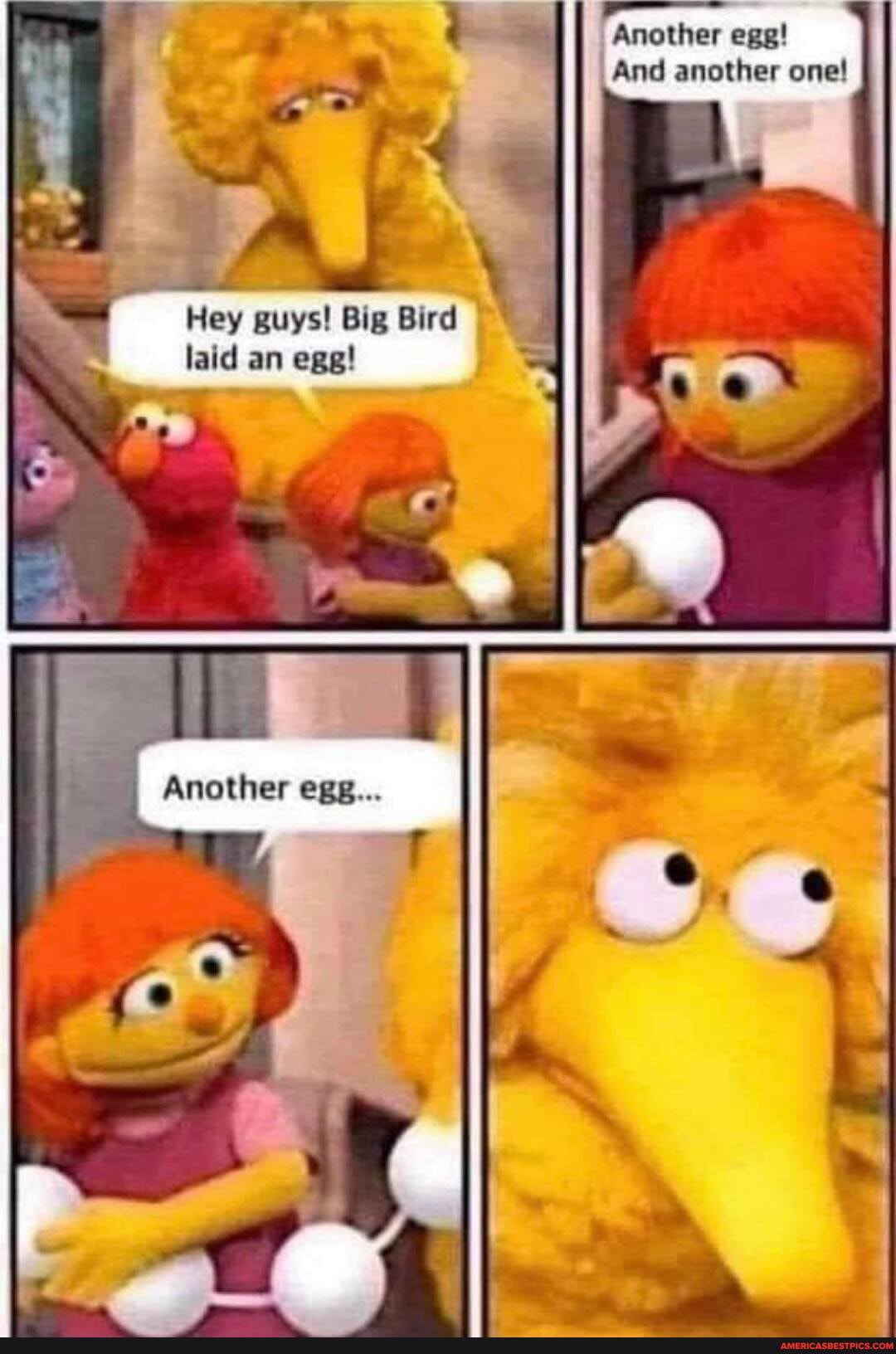 Another egg!
And another one!
Hey guys! Big Bird laid an egg!