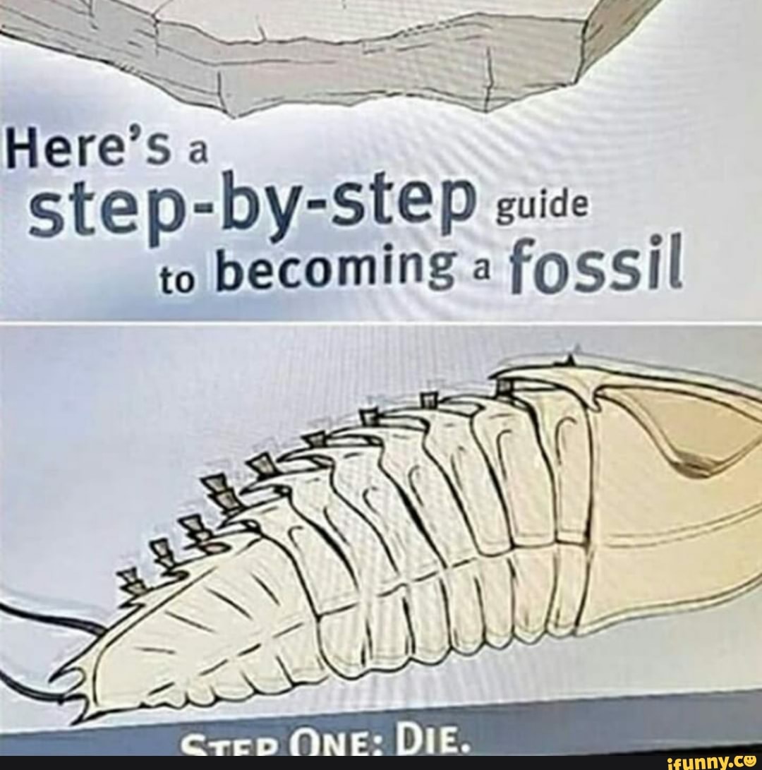 Here's stepbystep suide to a fossil iFunny