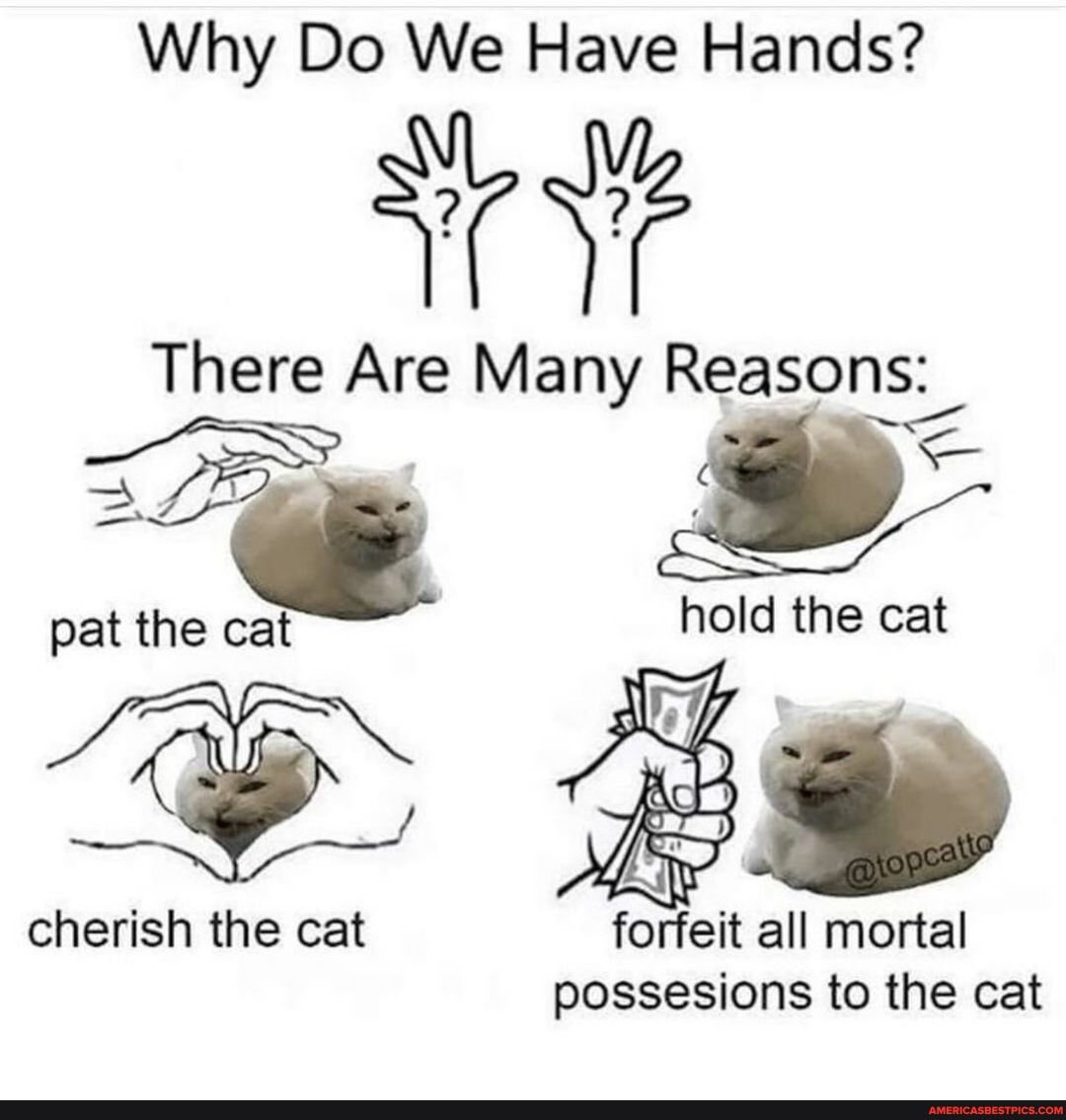 The more you know topcatto - Why Do We Have Hands? There Are Many ...