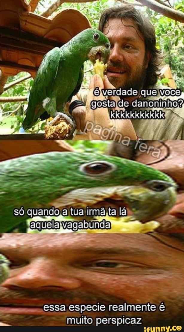 de danoni
só abunda
essa especie realmente muito perspicaz