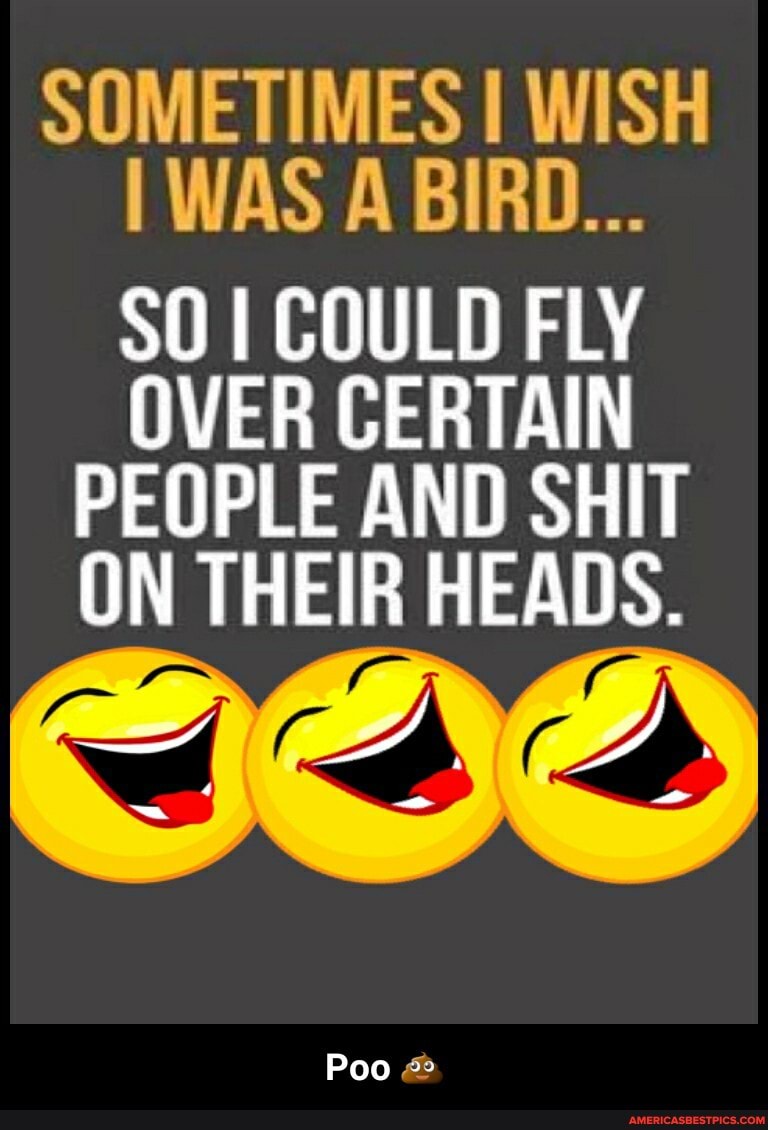 SOMETIMES I WISH I WAS A BIRD...
$0 I COULD FLY
OVER CERTAIN PEOPLE AND SHIT ON THEIR HEADS.
Poo - Poo đŸ’©