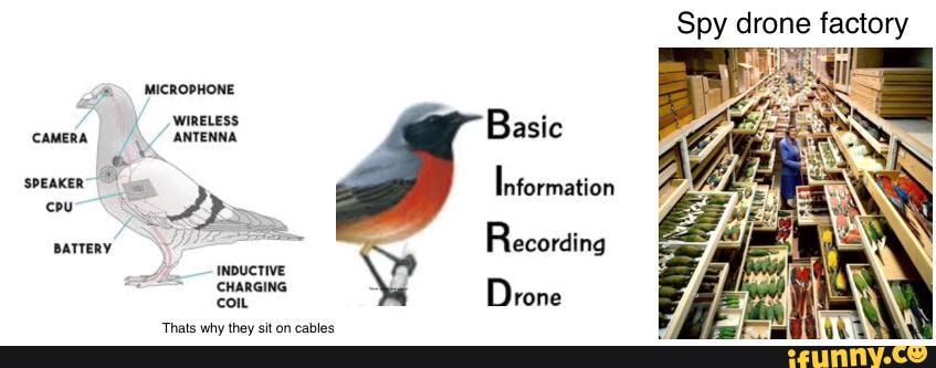 basic information recording drone