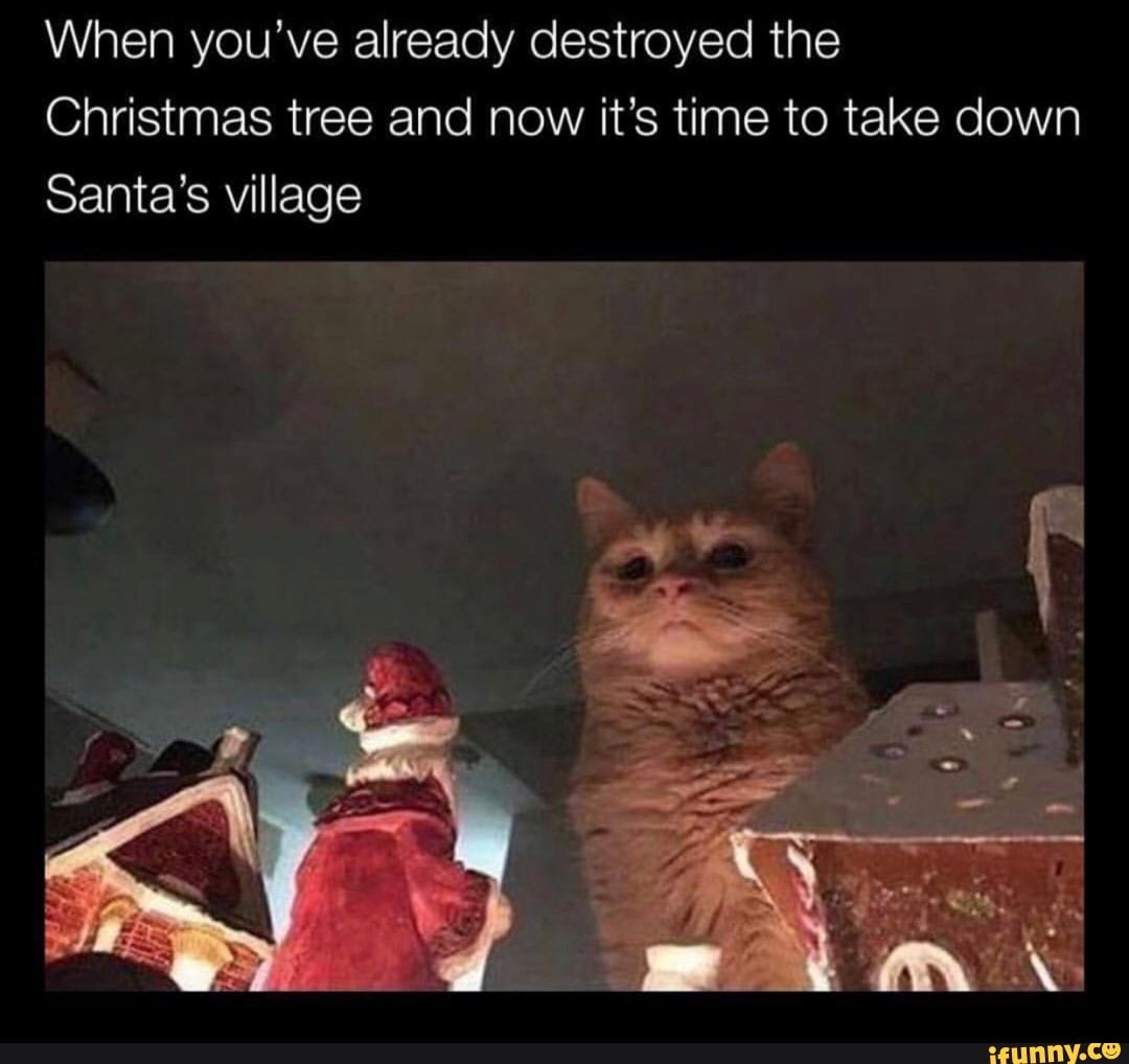 When you’ve already destroyed the Christmas tree and now it’s time to