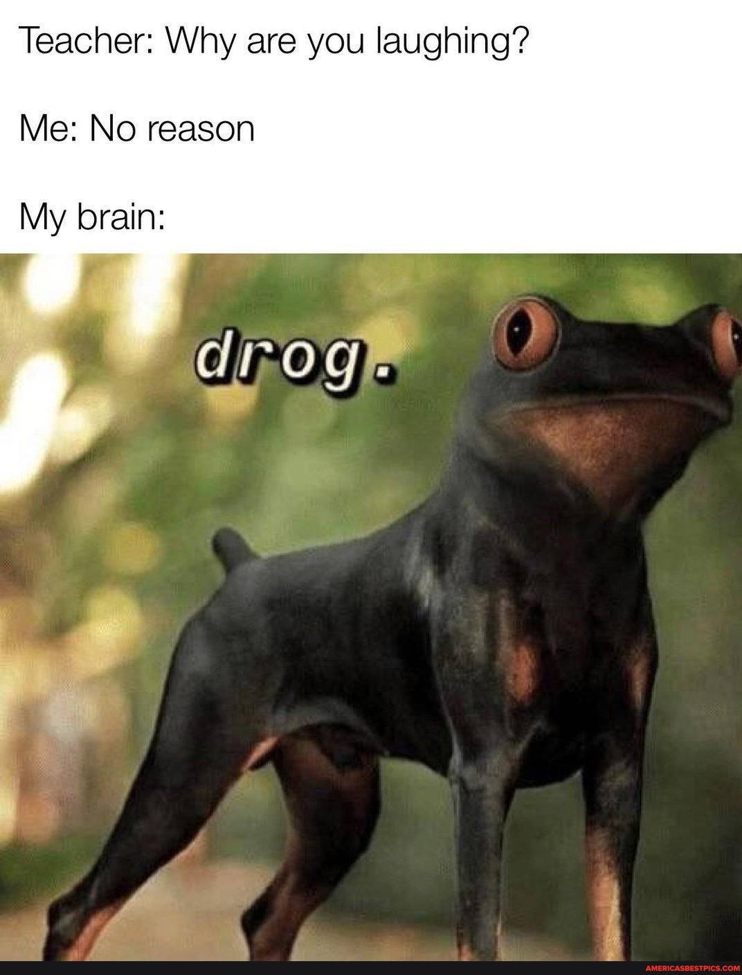 Teacher: Why are you laughing?
Me: No reason
My brain: