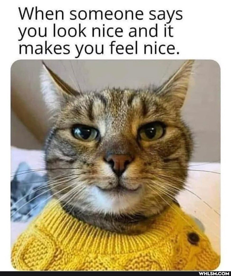 When someone says you look nice and it makes you feel nice.