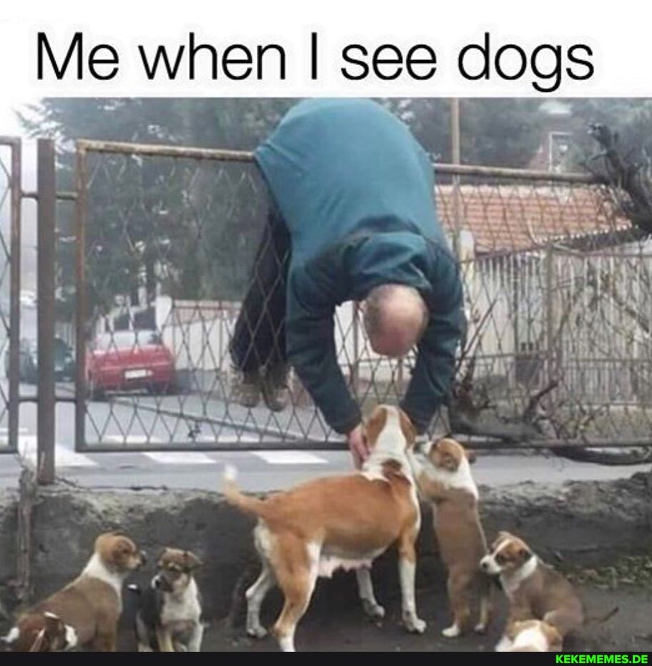 Me when I see dogs
if