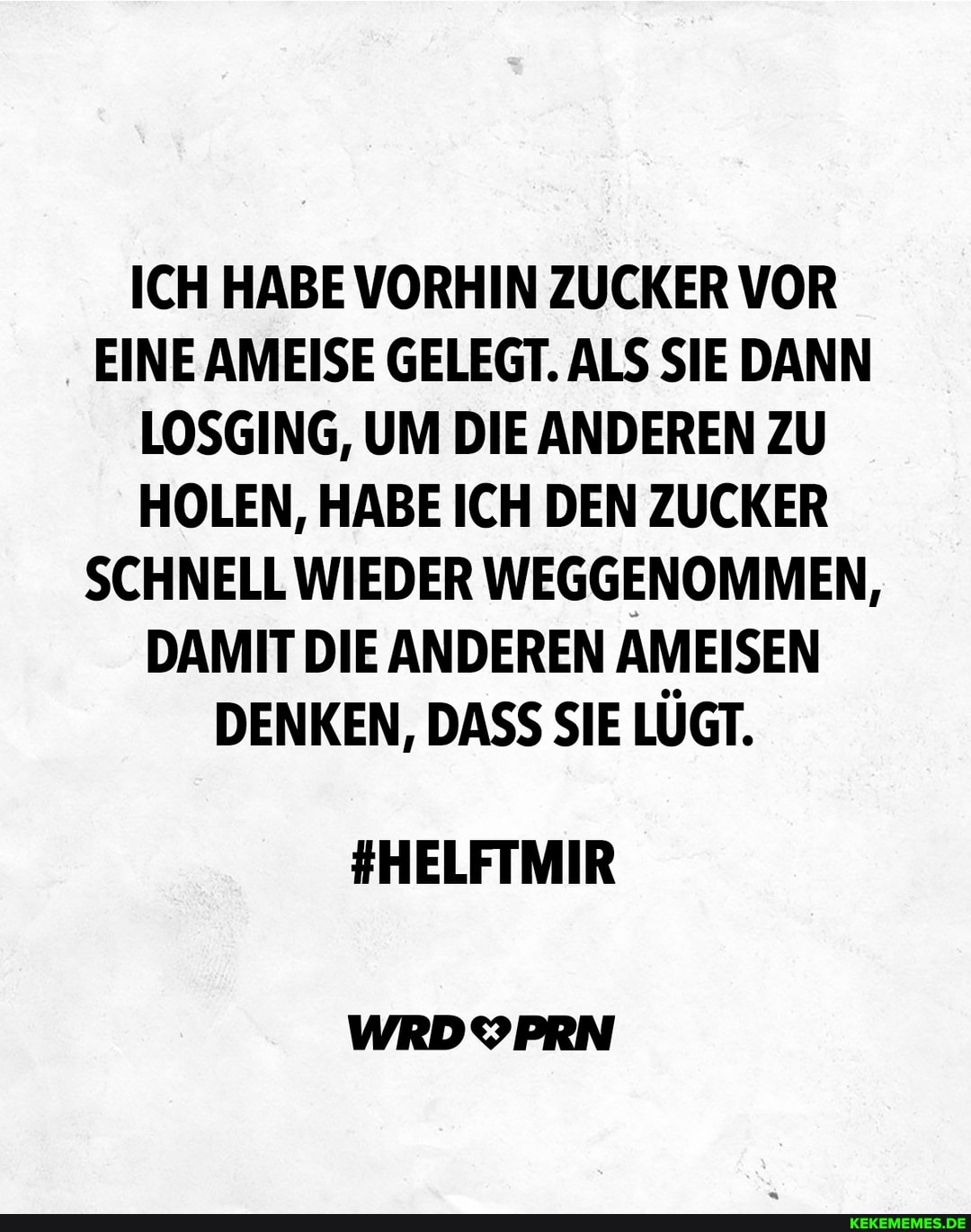 ICH HABE VORHIN ZUCKER VOR EINE AMEISE GELEGT. ALS SIE DANN LOSGING, UM DIE ANDEREN ZU HOLEN, HABE ICH DEN ZUCKER SCHNELL WIEDER WEGGENOMMEN,
DAMIT DIE ANDEREN AMEISEN DENKEN, DASS SIE LÜGT.
#HELFTMIR
WRDYPRN