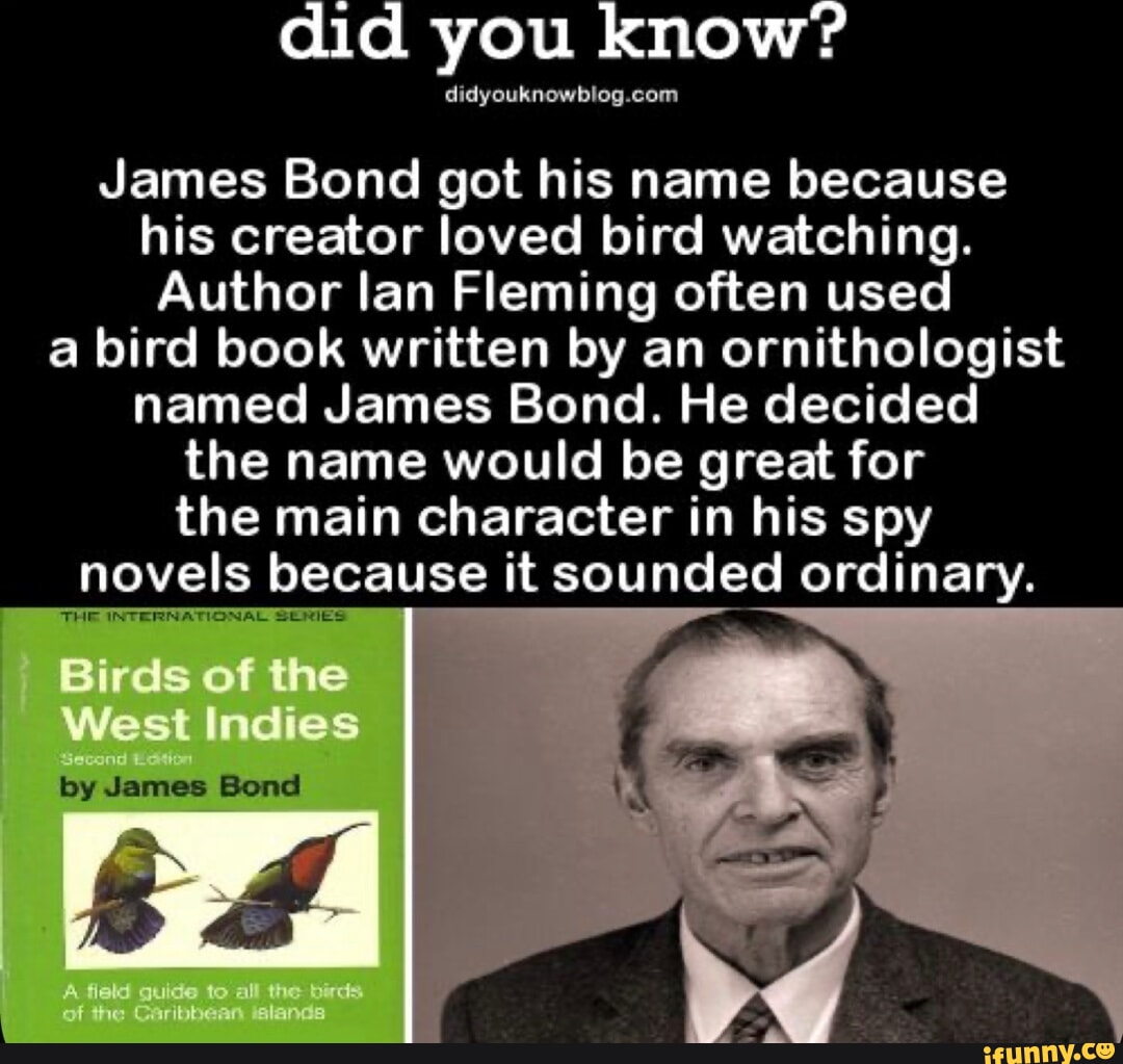 Did you know? James Bond got his name because his creator loved bird