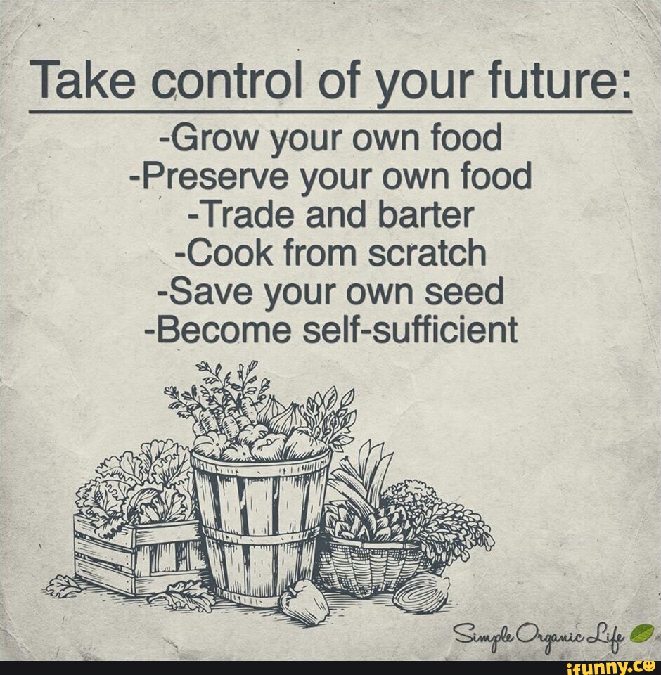 Barter memes. Best Collection of funny Barter pictures on iFunny