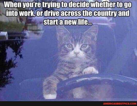 Wheii you're trying to decilie whether. io ya nie work, av tirive acress ihe country start a new life.