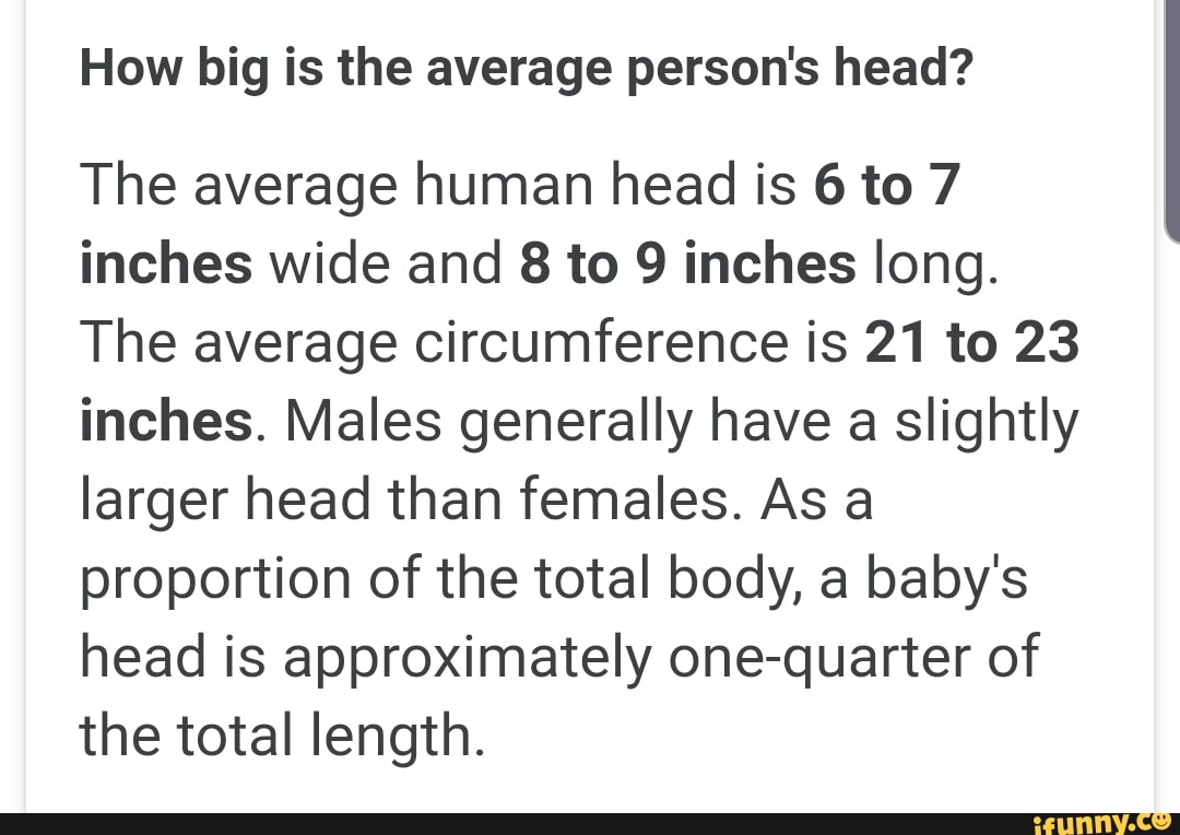 How big is the average person's head? The average human head is 6 to 7