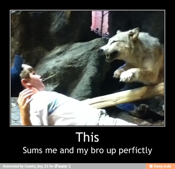 This
Sums me and my bro up perfictly