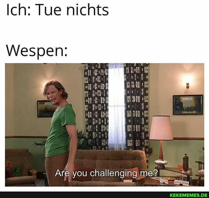 Ich: Tue nichts
Wespen:
Areiyou challenging,me?