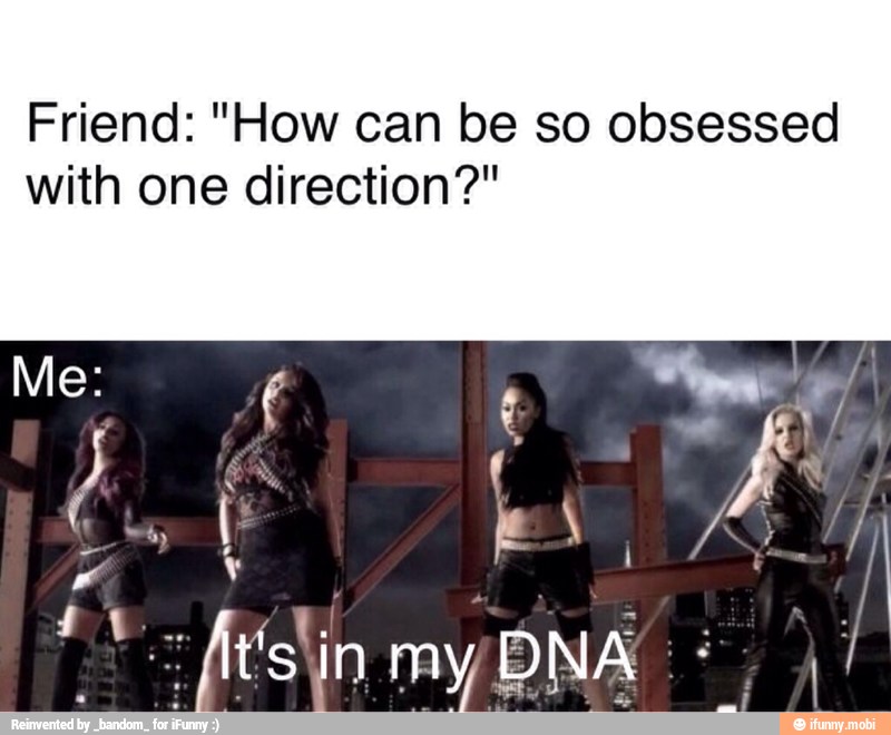 Friend: "How can be so obsessed
with one direction?"