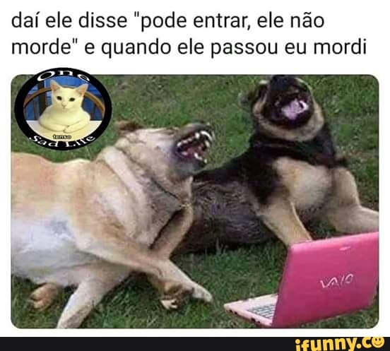 Da Ele Disse Pode Entrar Ele N O Morde E Quando Ele Passou Eu Mordi Ifunny