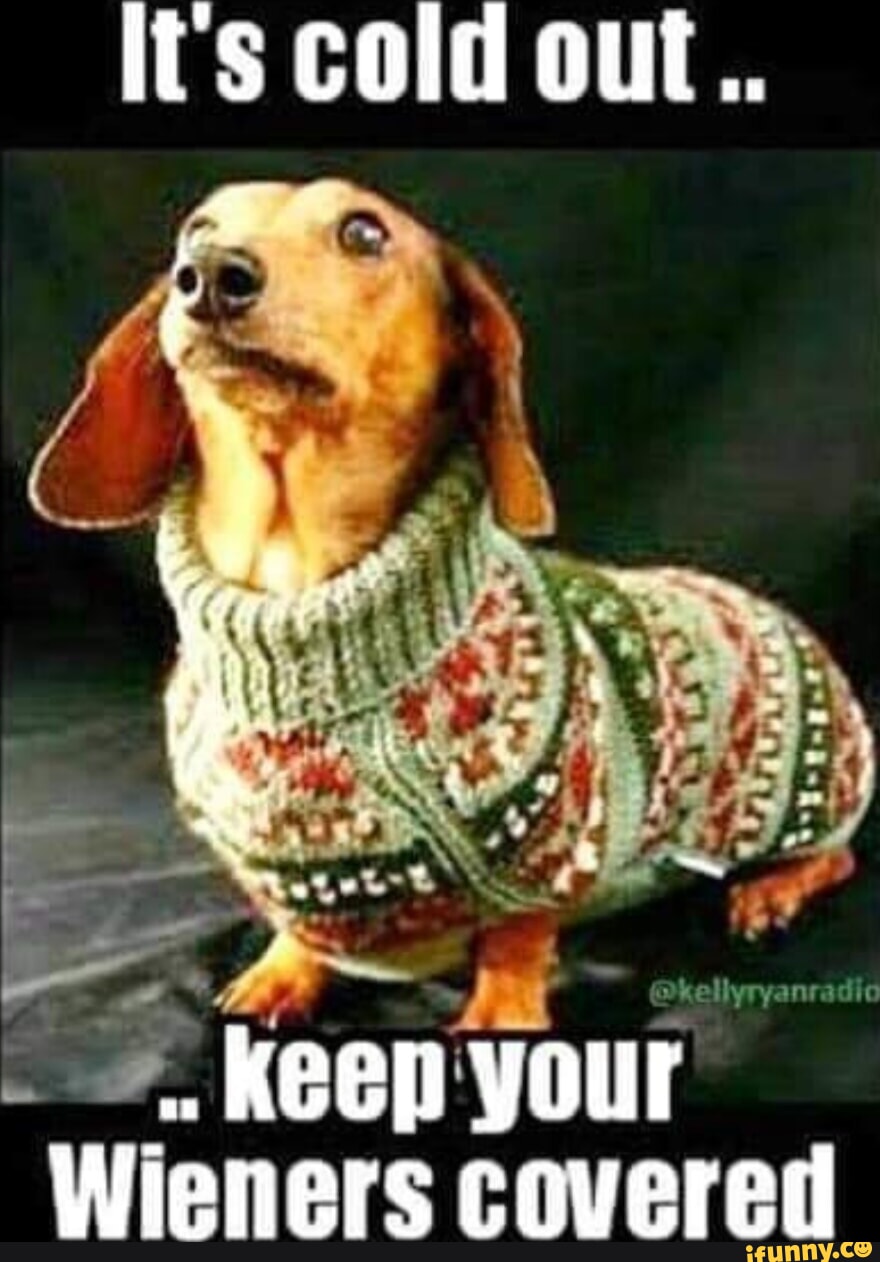 Its Cold Out Keep Your Wieners Covered Ifunny 8384