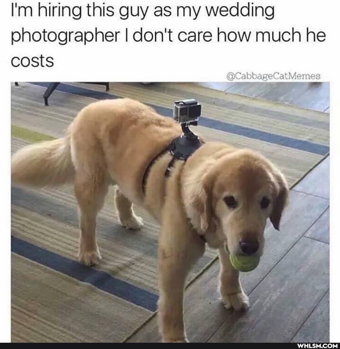 I'm hiring this guy as my wedding photographer I don't care how much he costs
@CabbageCatMemes