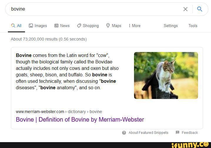 Bovine QaAl images News Shopping Maps More Settings Tools 'About ...