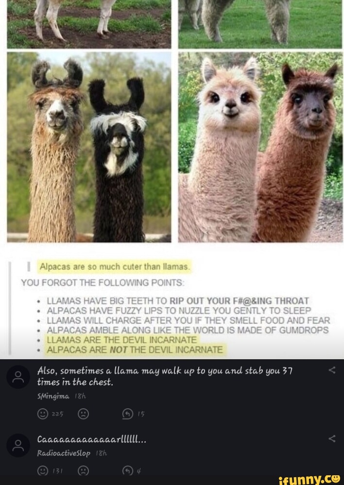 If you were looking for a sign to chill, here it is 🫶 Alpacas on Alla, Alpaca