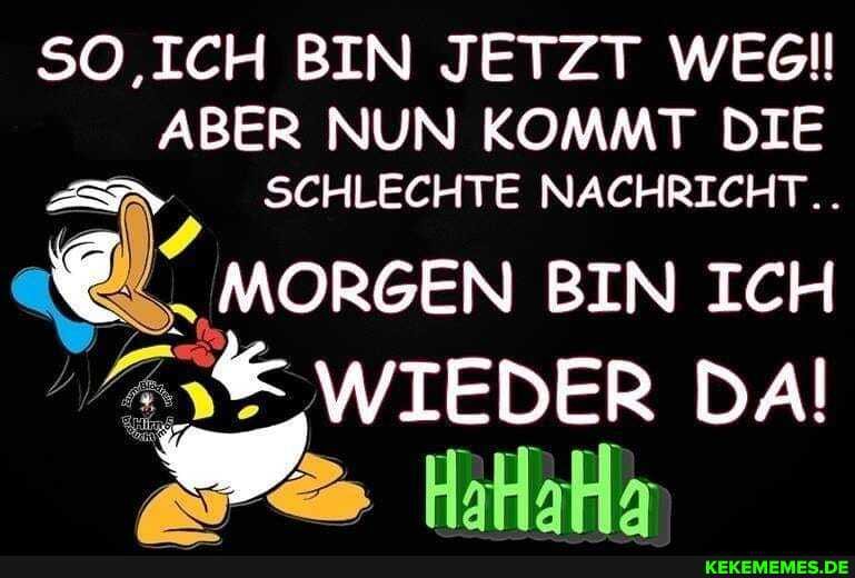 ,ICH BIN JETZT WEEN
ABER NUN KOMMT DIE SCHLECHTE NACHRICHT.
MORGEN BIN ICH WIEDER DA!