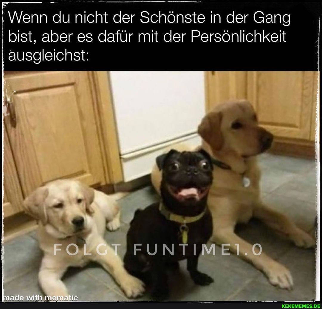 Wenn du nicht der Schönste in der Gang I bist, aber es dafür mit der Persönlichkeit ausgleichst:
FOL.T