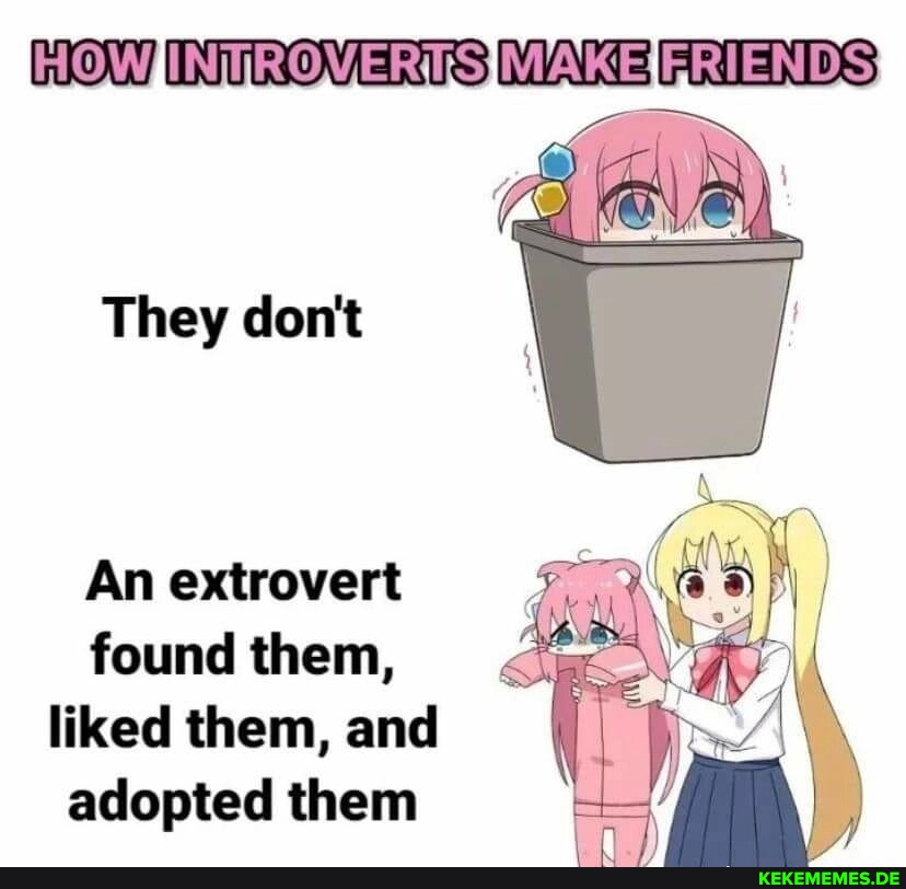 WOW INTROVERTS MAKEFRIENDS They don't An extrovert found them, liked them, and I