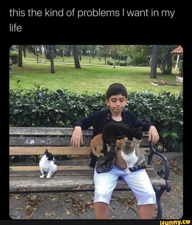 this the kind of problems I want in my life