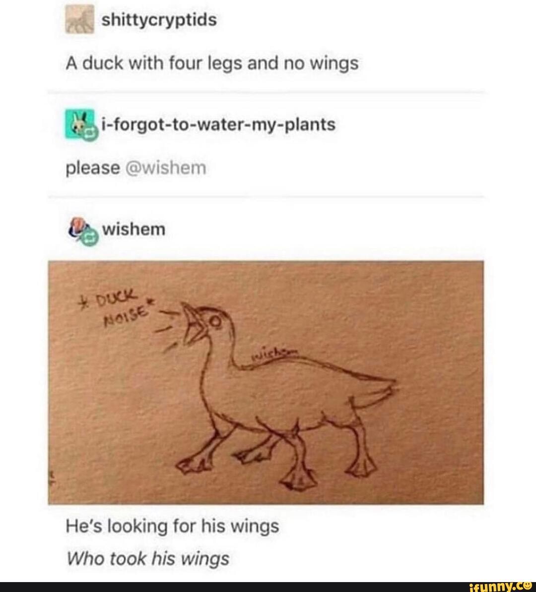 honk-a-duck-with-four-legs-and-no-wings-please-wis-em-wishem-he-s