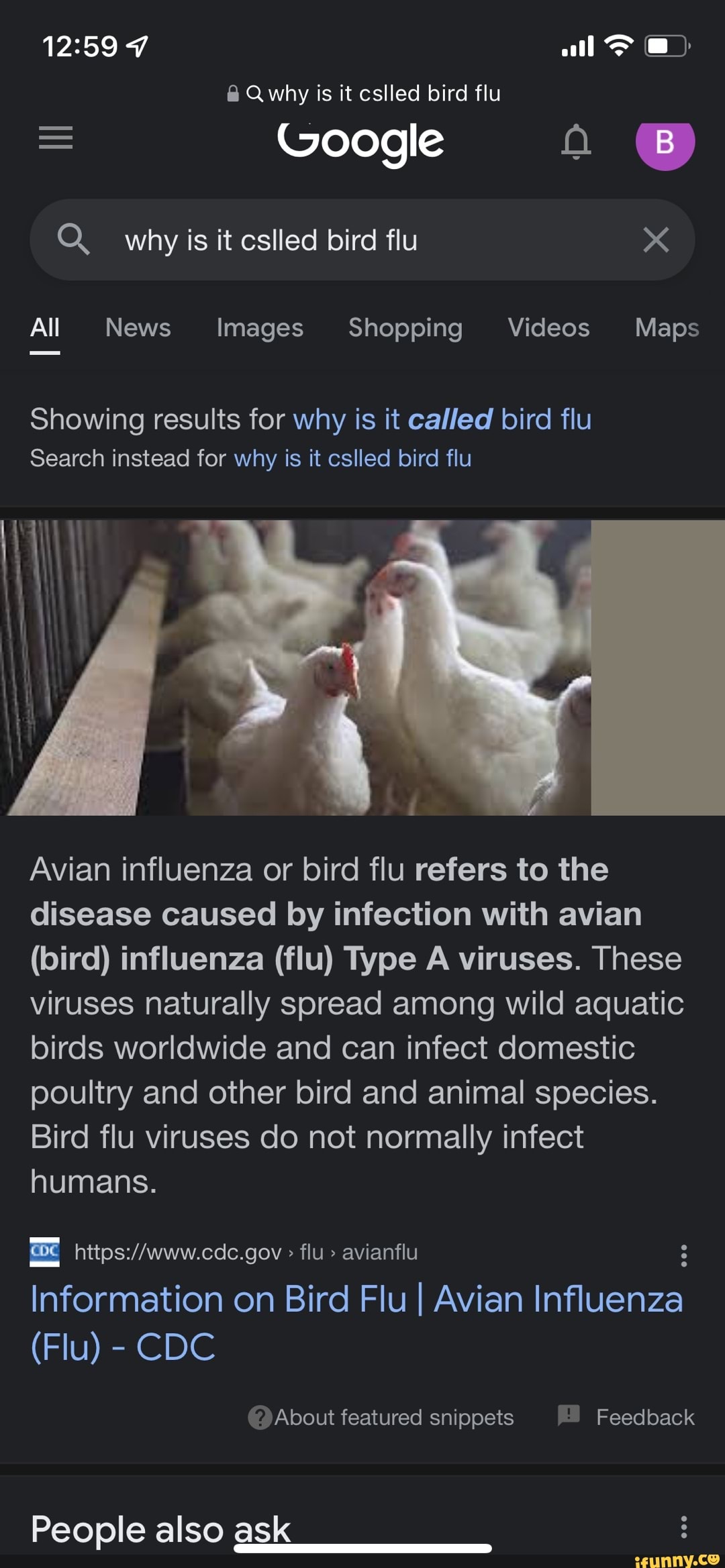 7 All @ Qwhy Is It Cslled Bird Flu Google Why Is It Cslled Bird Flu All ...