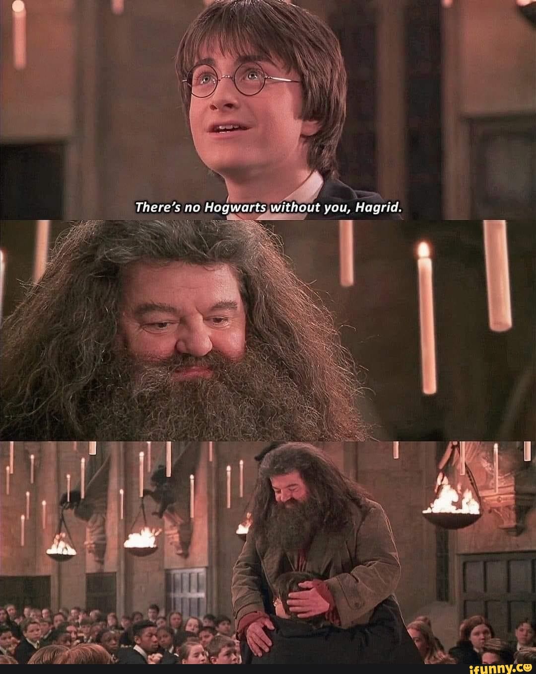 SS There's No Hogwarts Without You, Hagrid. - IFunny