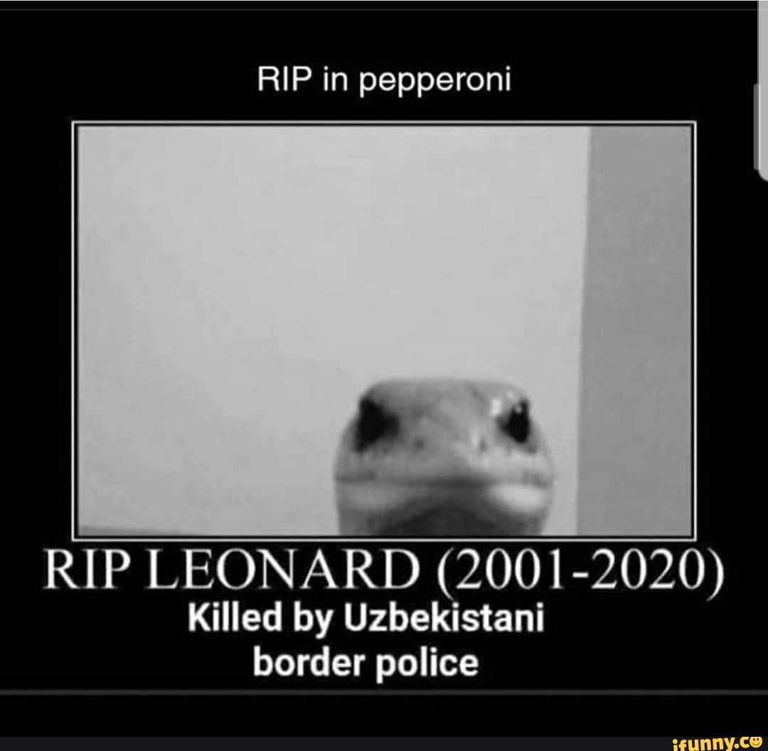 RIP in pepperoni RIP LEONARD (2001-2020) Killed by Uzbekistani border ...