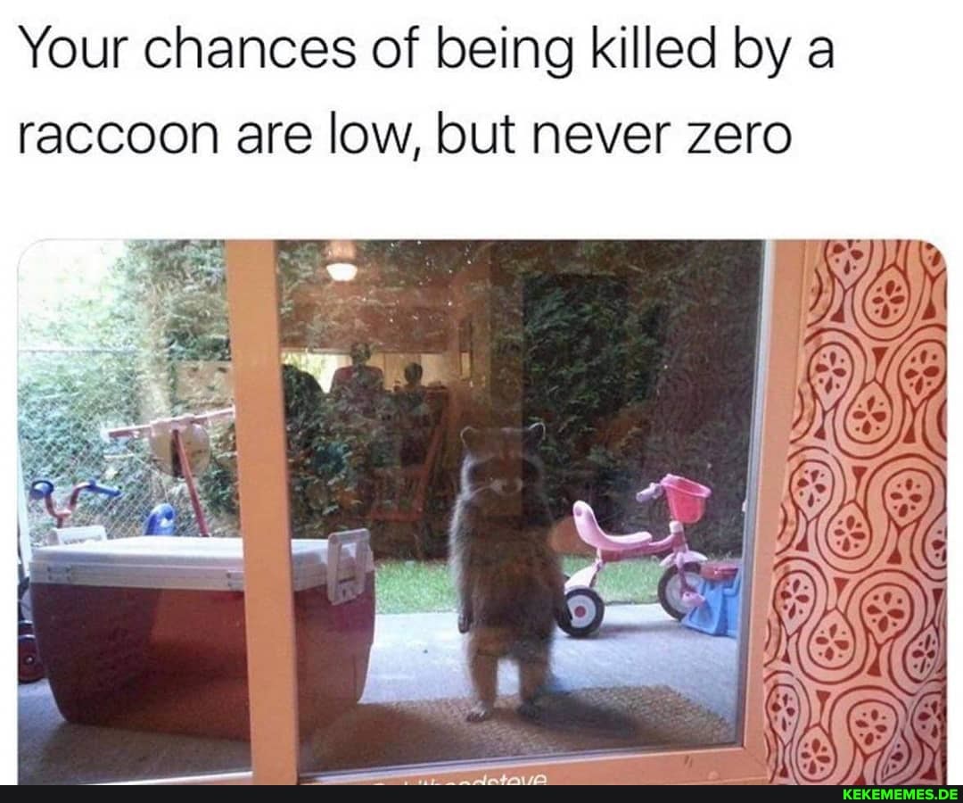 Your chances of being killed by a raccoon are low, but never zero