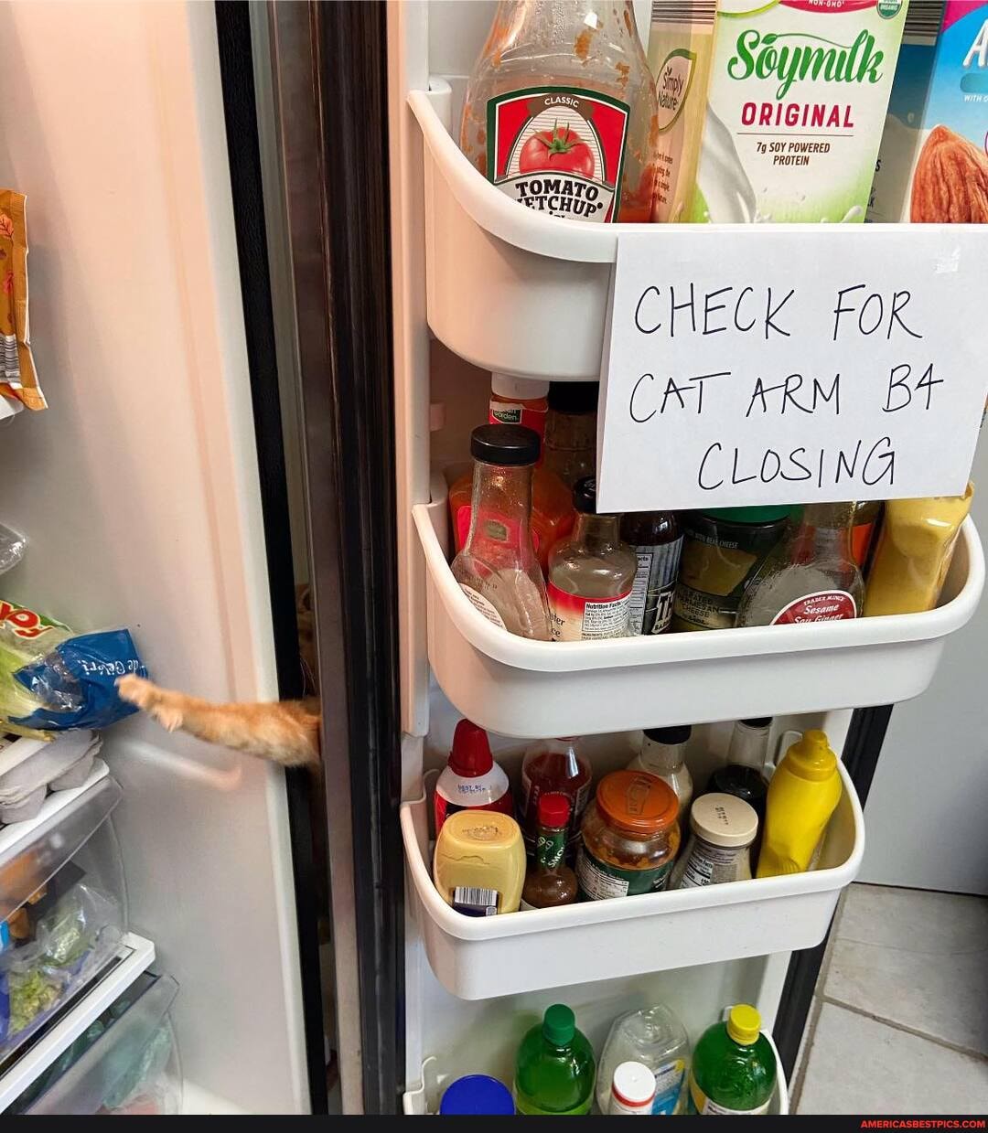 ORIGINAL
CHECK FOR.
CAT ARM BF ,
CLOSING