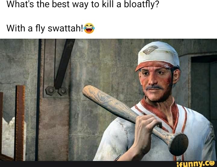 Whats the best way to kill a bloatfly?
With a fly swattah!@
Ma