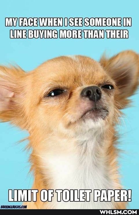 MV FACE WHEN I SEE SOMEONE IN LINE BUYING MORE THAN THEIR
LIMIT OF TOILET PAPER!